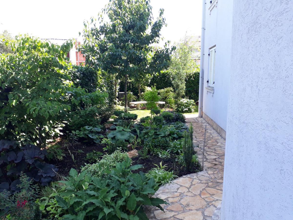 Apartman Igor زامبراتيجا المظهر الخارجي الصورة